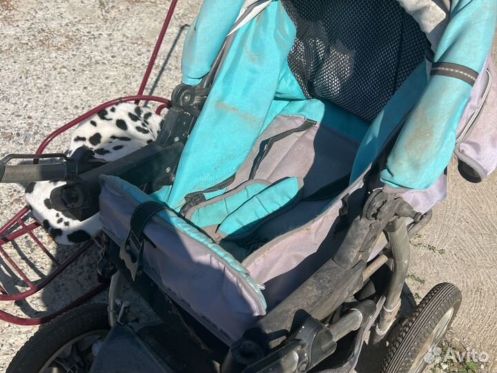 Коляска и сани бесплатно