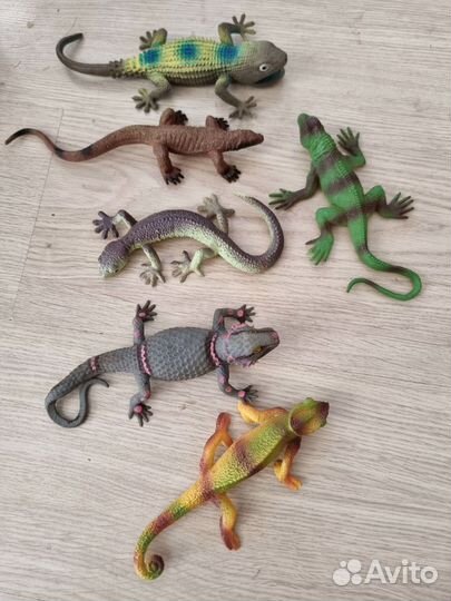 Ящерицы разные