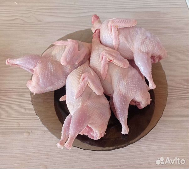 Мясо домашней птицы