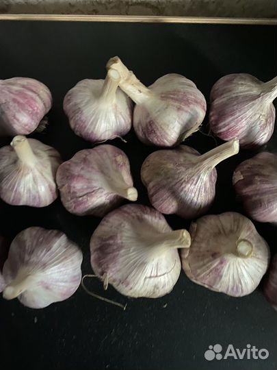 Чеснок