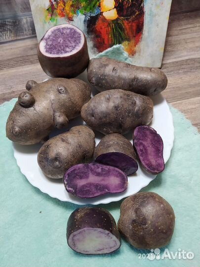 Картофель с фиолетовой и розовой мякотью