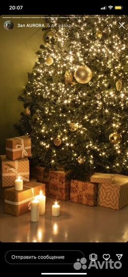 Фотосессия в новогоднем декоре