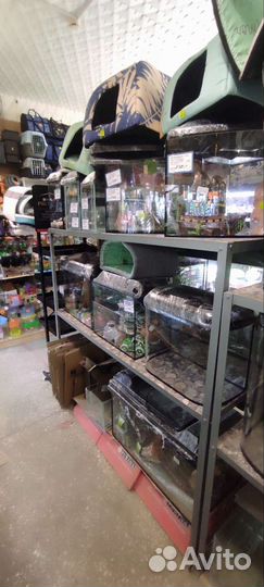 Аквариумы разных форм и размеров