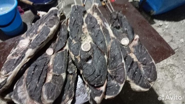 Ботлихская