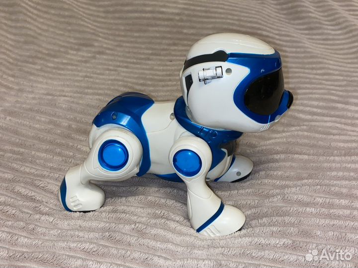 Робот-собака toy quest