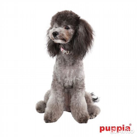 Puppia ошейник из текстиля в клетку, розовый