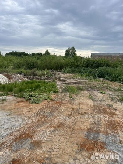 Приму грунт