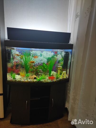 Аквариум bio-design 