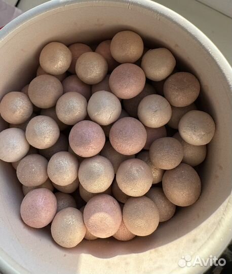 Guerlain meteorites butterfly pearls