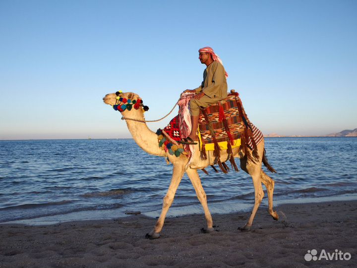 Тур-путешествие в Шарм-Эль-Шейх 7 нч за двоих чел