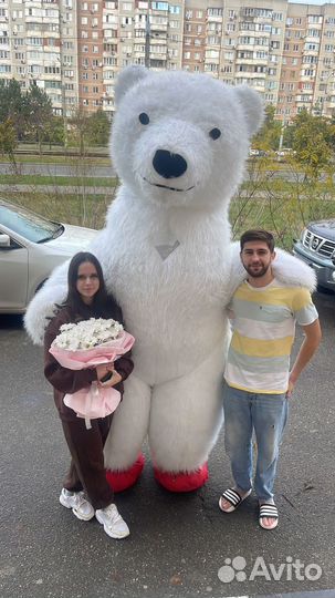 Поздравление от белого медведя 3.5 метра высотой