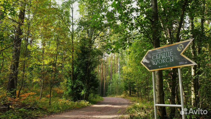 Съёмка с квадрокоптера/Аэросъёмка/Видеосъёмка