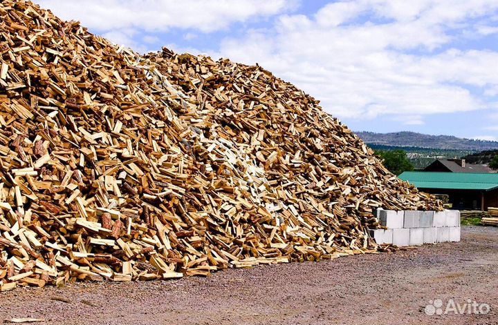 Дрова береза осина ольха