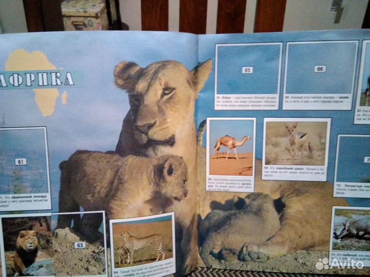 Альбом с наклейками Мир Животных Panini