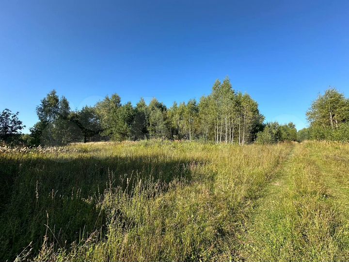 Участок 17,22 га (ИЖС)