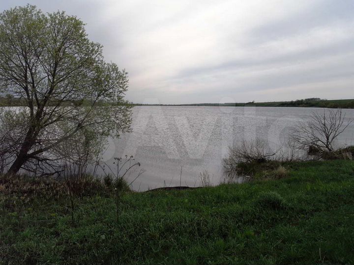 Участок 50 сот. (ИЖС)