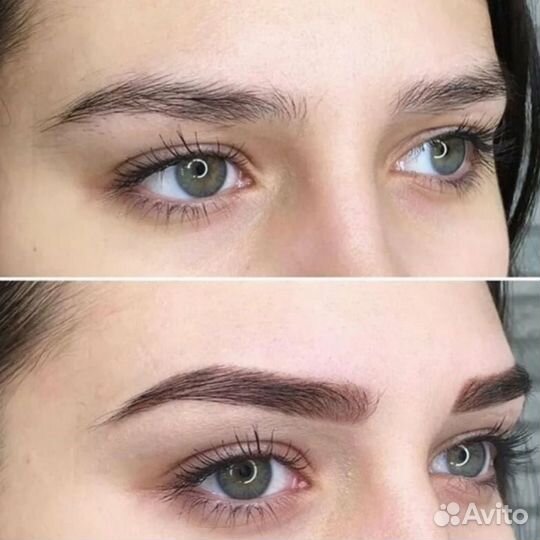 Обучение по курсу Бровист