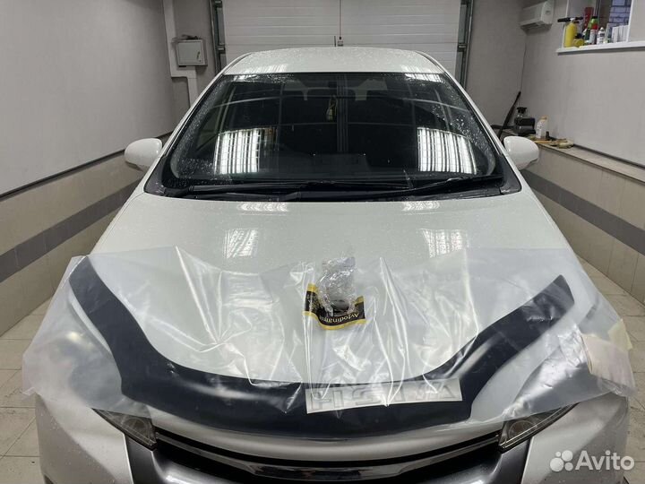 Спойлер мухобойка