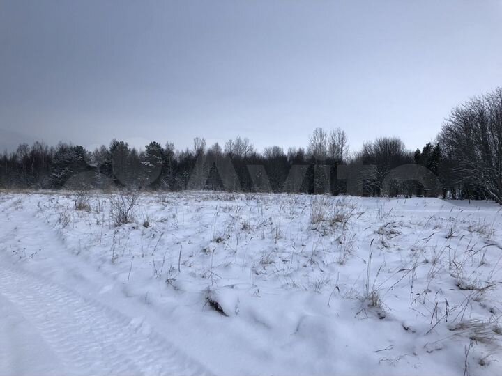 Участок 60 сот. (ИЖС)