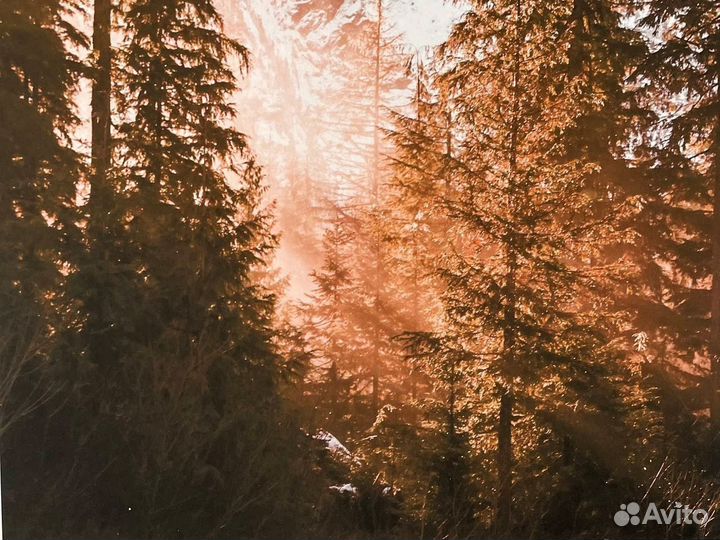 Постер природа 40х50