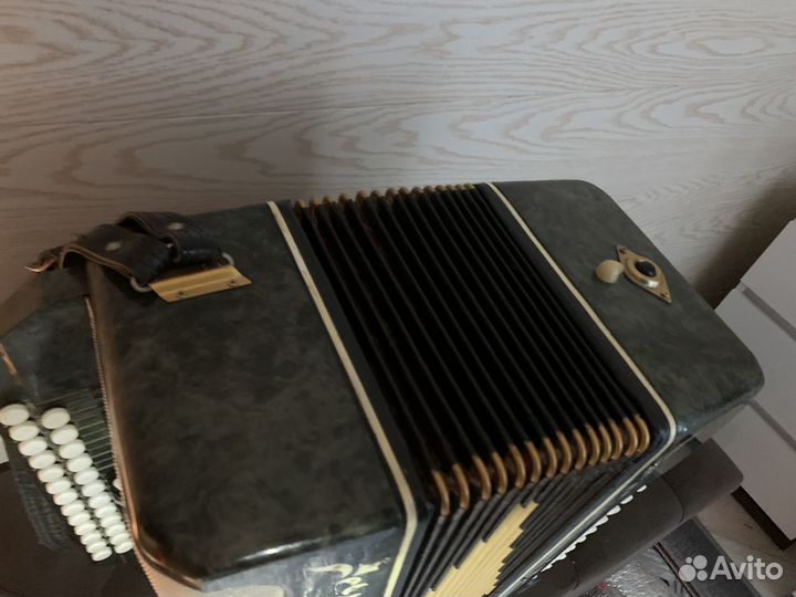 Гармонь Беларусь 4-х голос. Новое сост