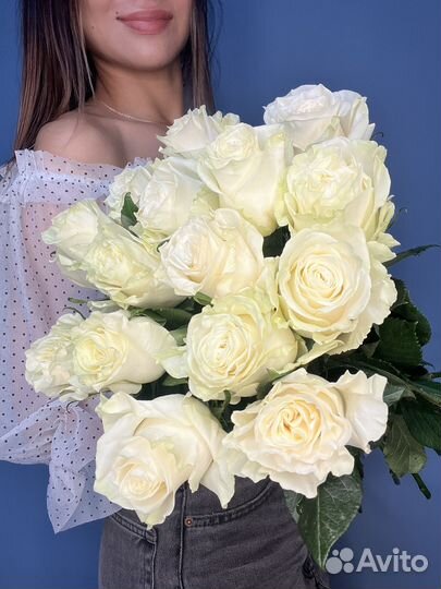 Розы Эквадор коупгые мондиаль