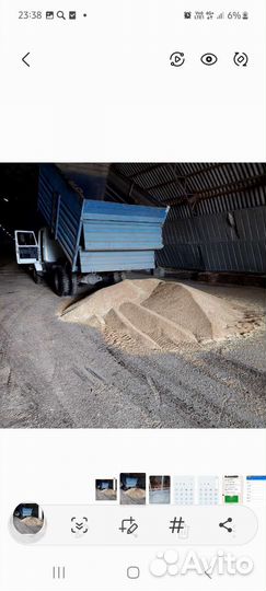 Кукуруза кормовая