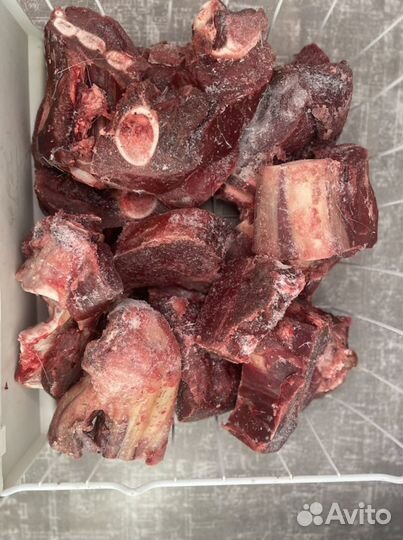 Корм крупных пород собак