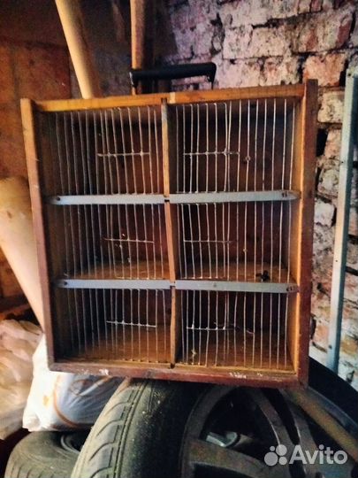 Ловушка для птиц. Клетка для птиц