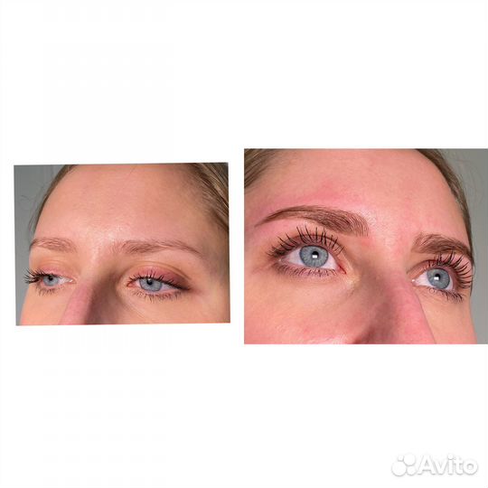 Модели на Брови