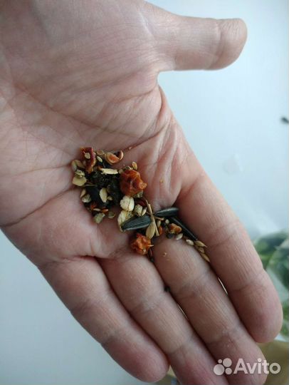 Корм для канареек