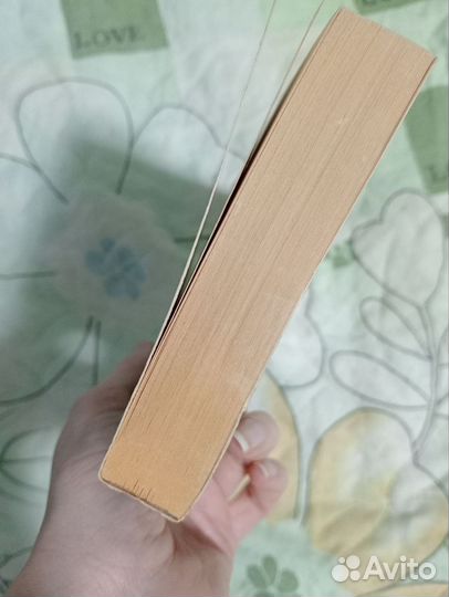 Книга Дневник писателя - Достоевский