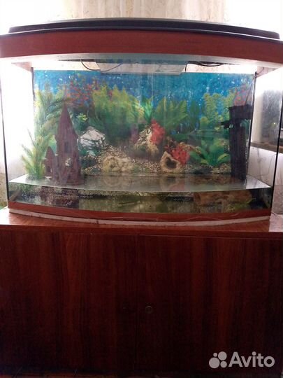 Аквариум 150 литров