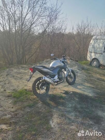 Stels flex 250
