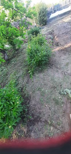 Участок 8 сот. (СНТ, ДНП)