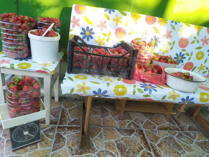 Дача 47 м² на участке 6 сот.