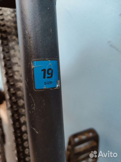 Forward flash 26 2.0 disc