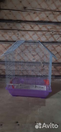 Попугай корелла с клеткой