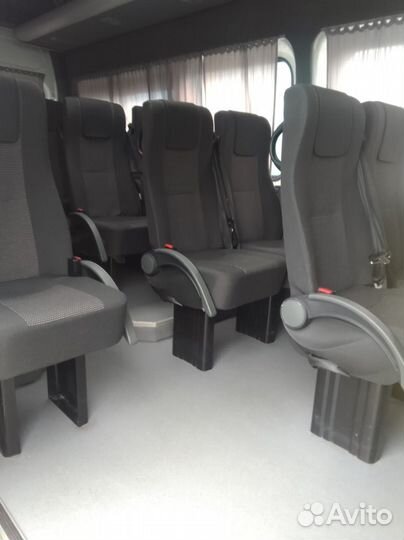 Городской автобус Ford Transit, 2020