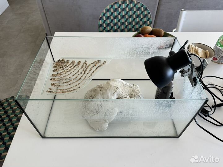 Комплект Аквариум террариум для черепахи