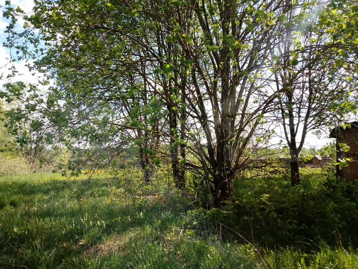 Участок 30 сот. (ИЖС)