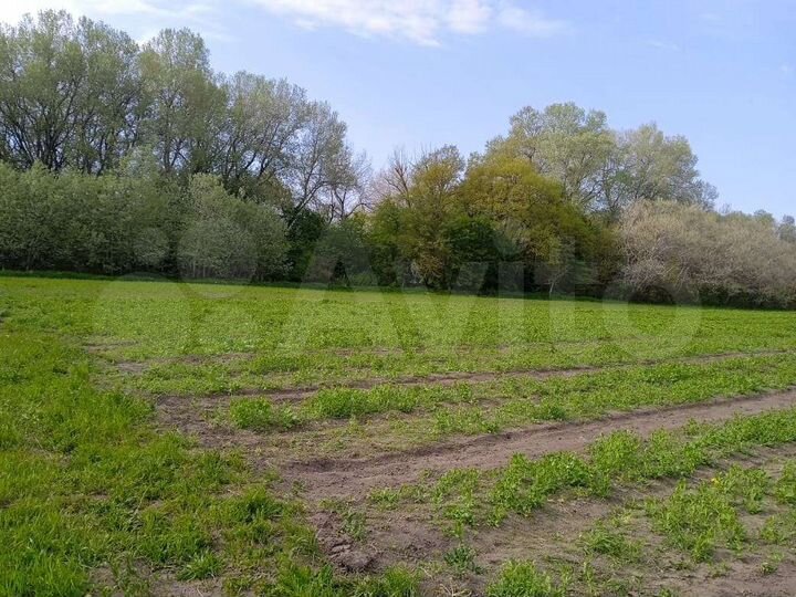 Участок 50 сот. (ИЖС)