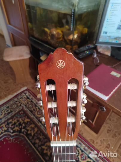 Трансклассическая гитара (трансакустическая)