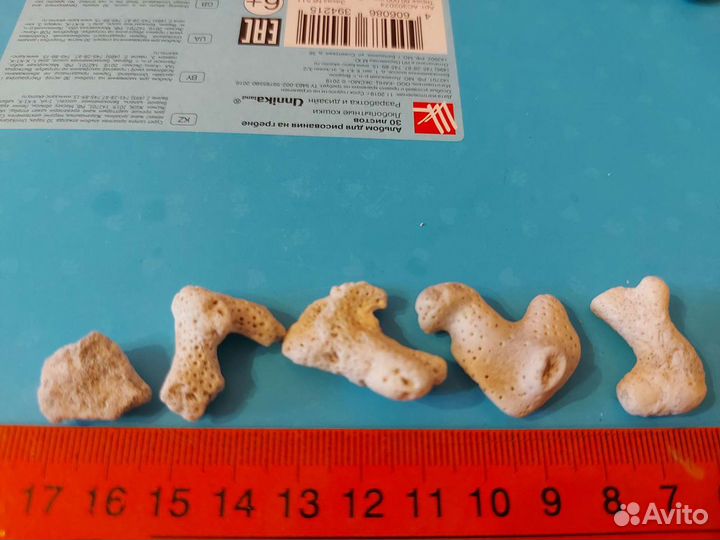 Коралловые рифы натуральные океанические