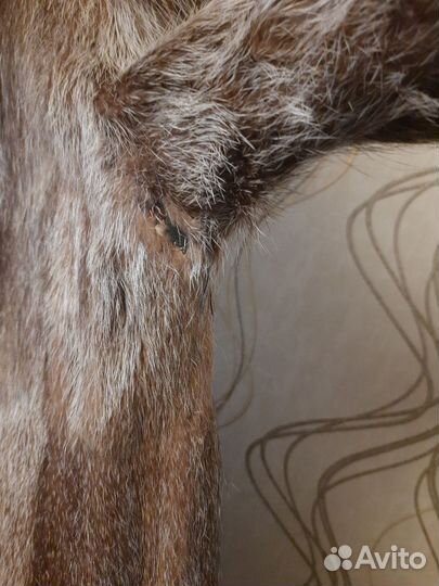 Шуба женская натуральная 46 б/у