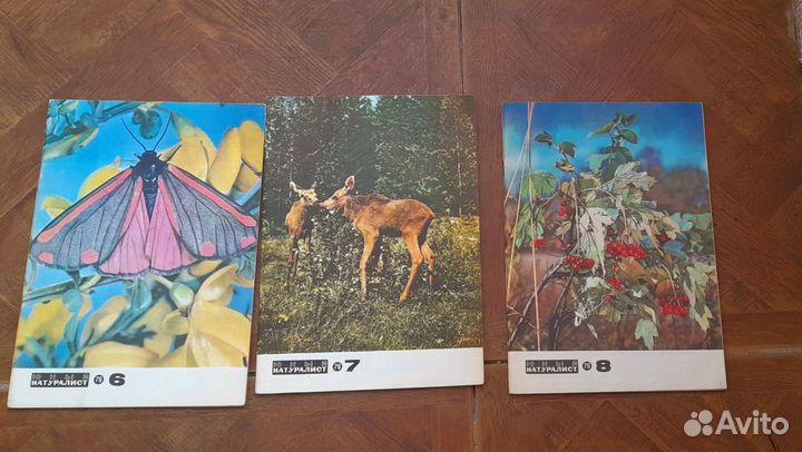 Журналы Юный натуралист. СССР. 70-е г.г