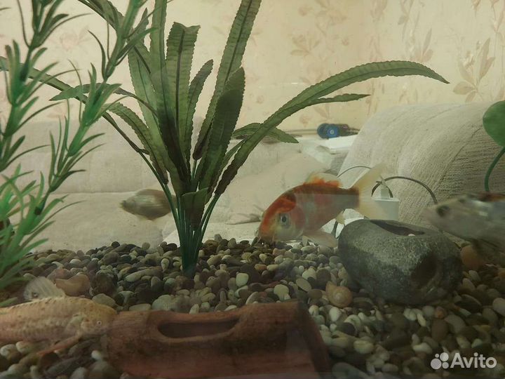 Украшение для аквариума