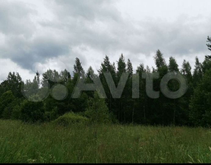 Участок 100 сот. (СНТ, ДНП)