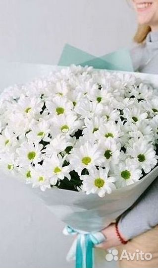 Хризантема Букет хризантем Доставка