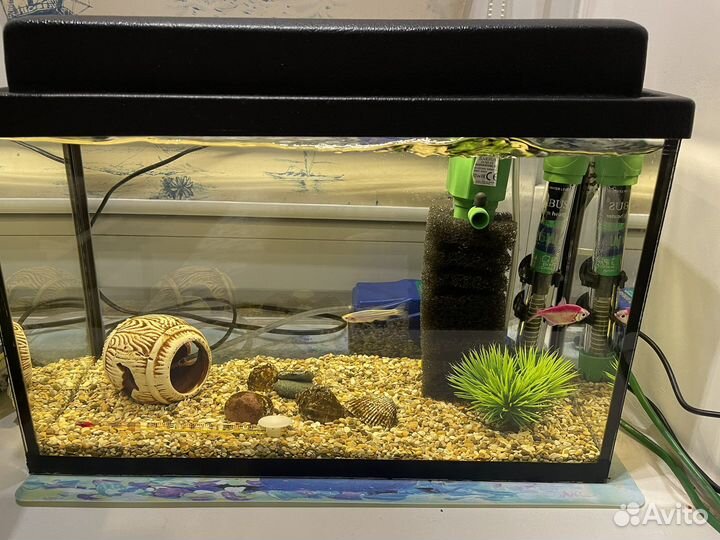 Аквариум